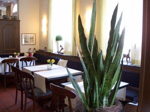 Hotel Haus Thoeren Kerken Extérieur photo